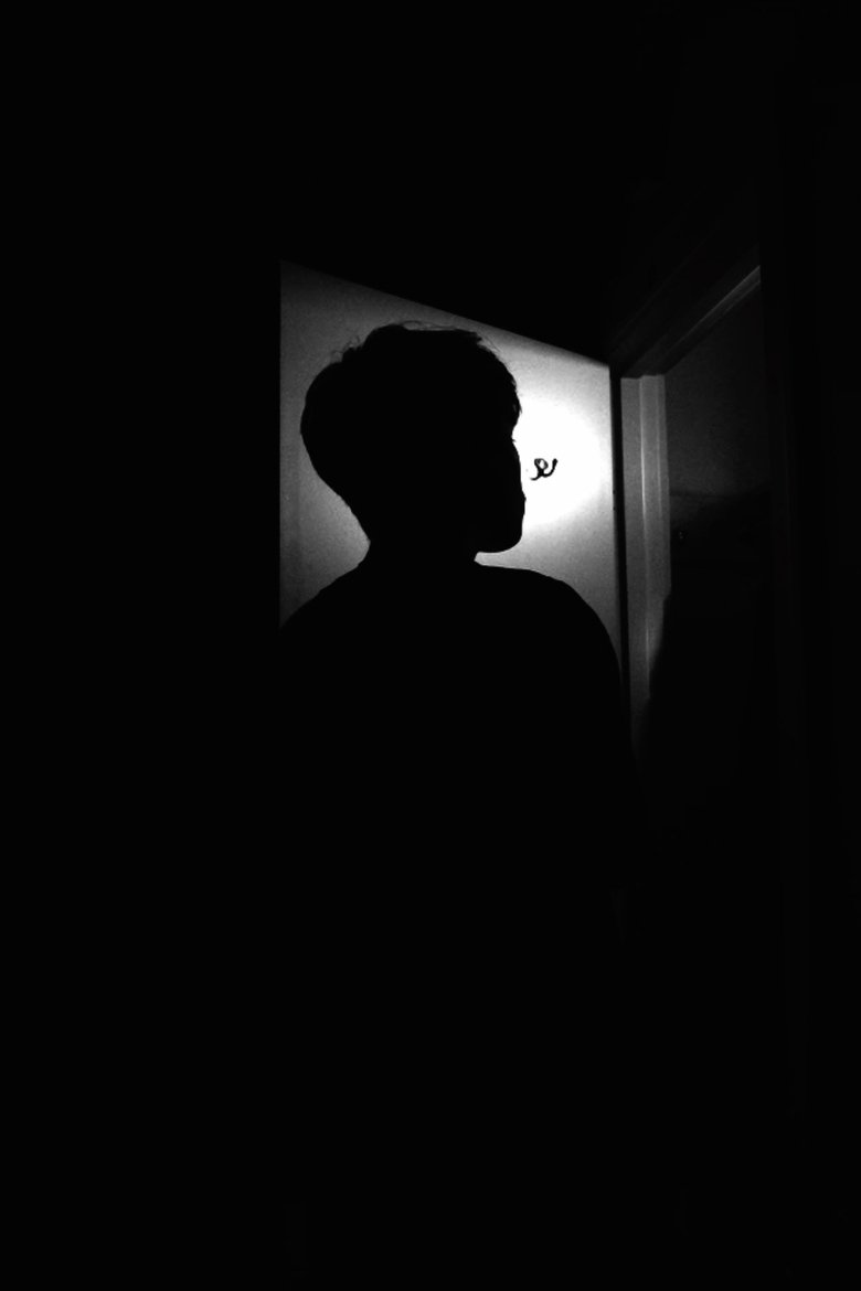Poster of Phototropia