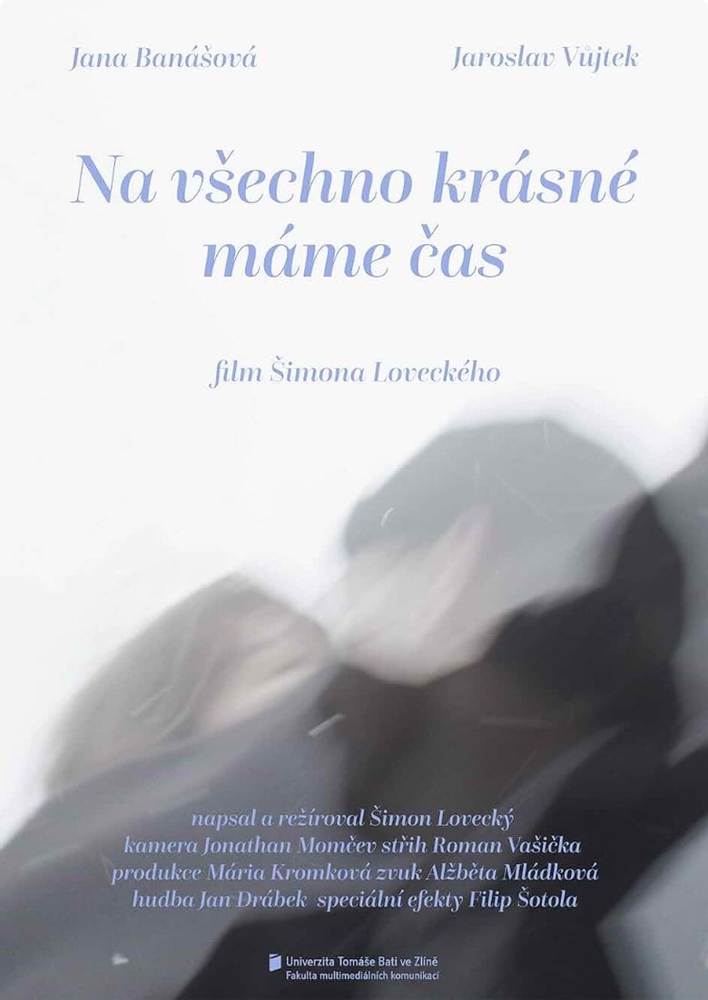 Poster of Na všechno krásné máme čas