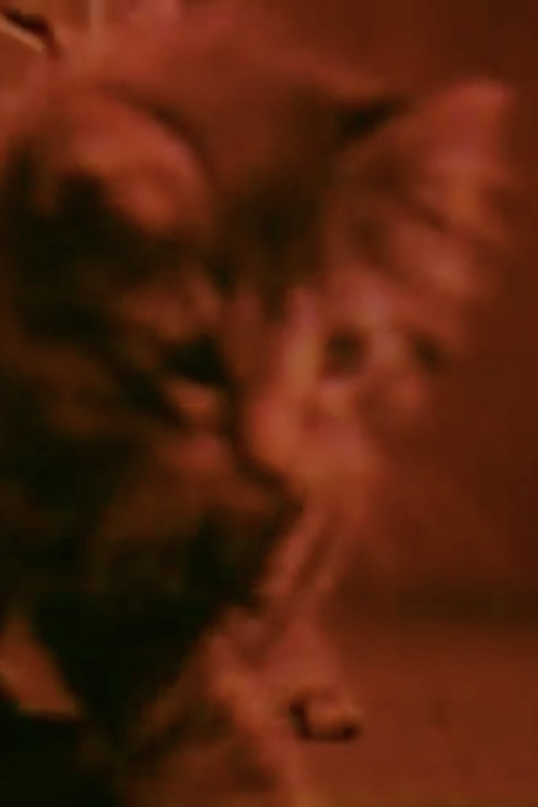 Poster of Kittens Grow Up