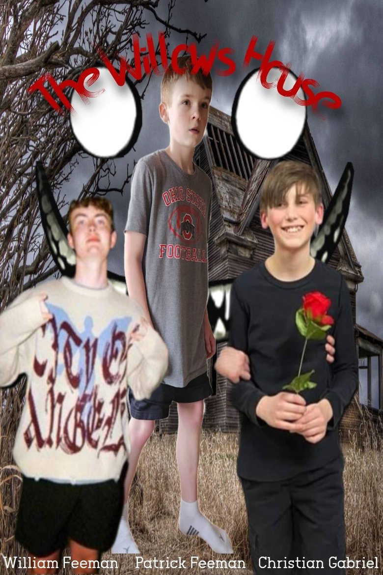 Poster of The Willows House