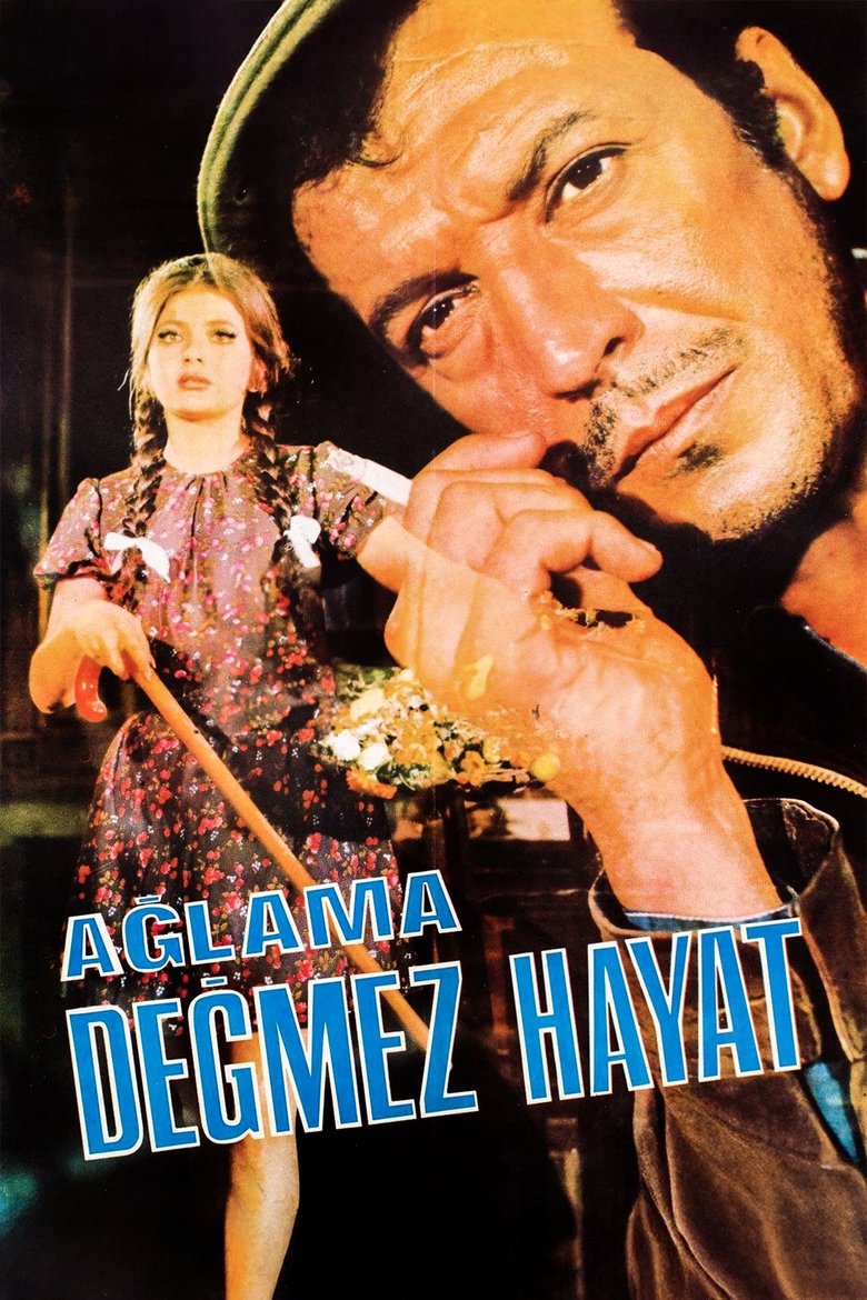 Poster of Ağlama Değmez Hayat