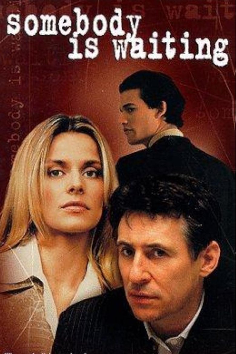 Poster of Somebody Is Waiting