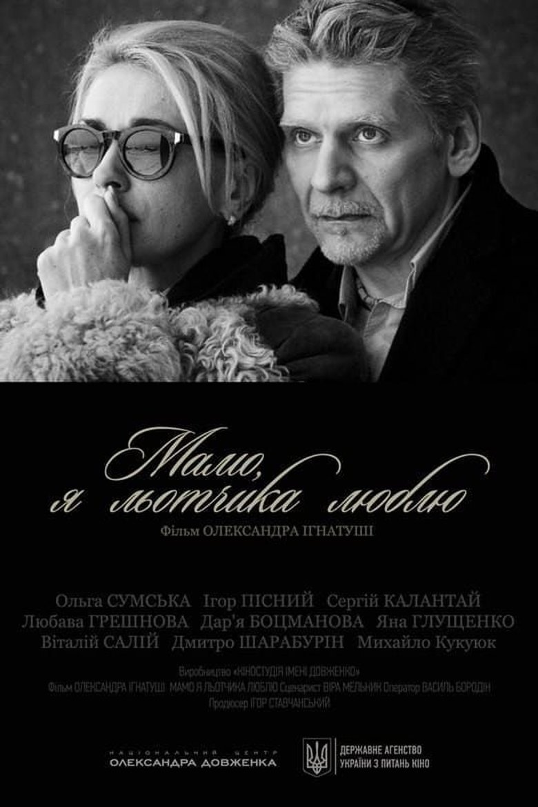 Poster of Mom, I Love the Pilot