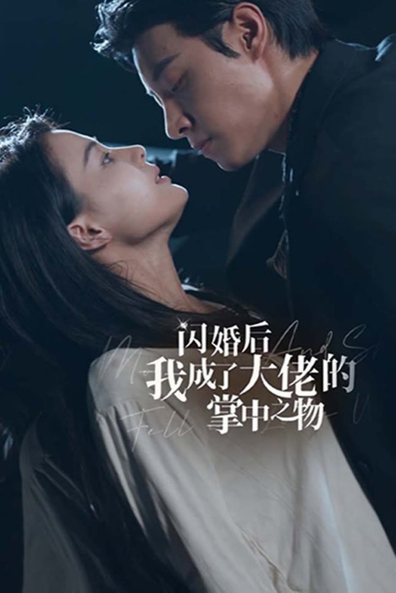Poster of 闪婚后我成了大佬的掌中之物
