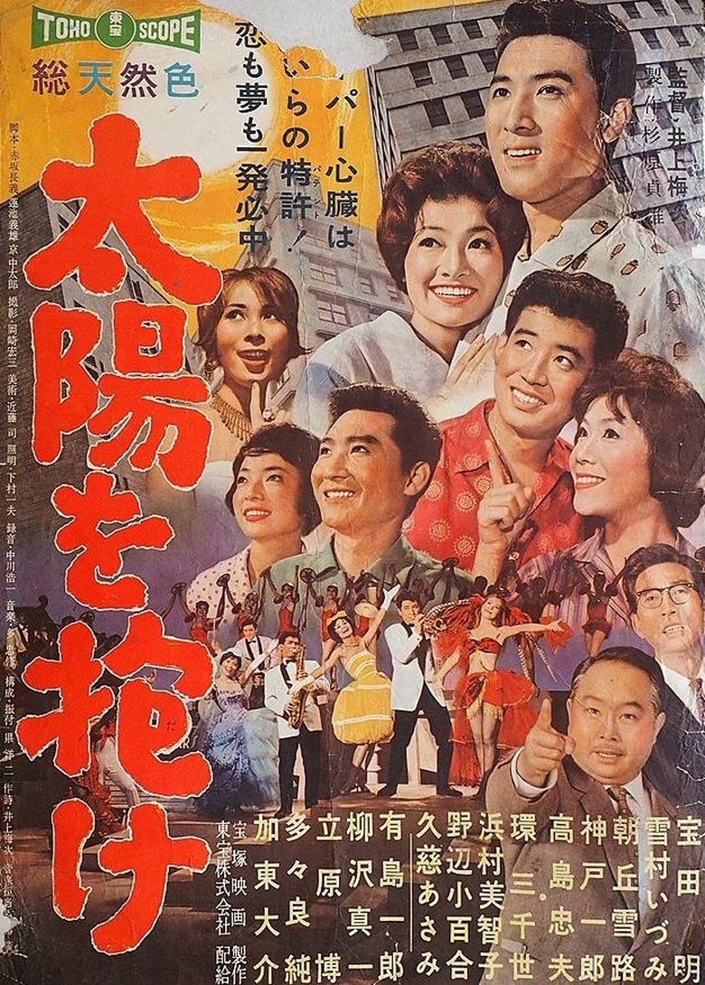 Poster of Singing in the Sun