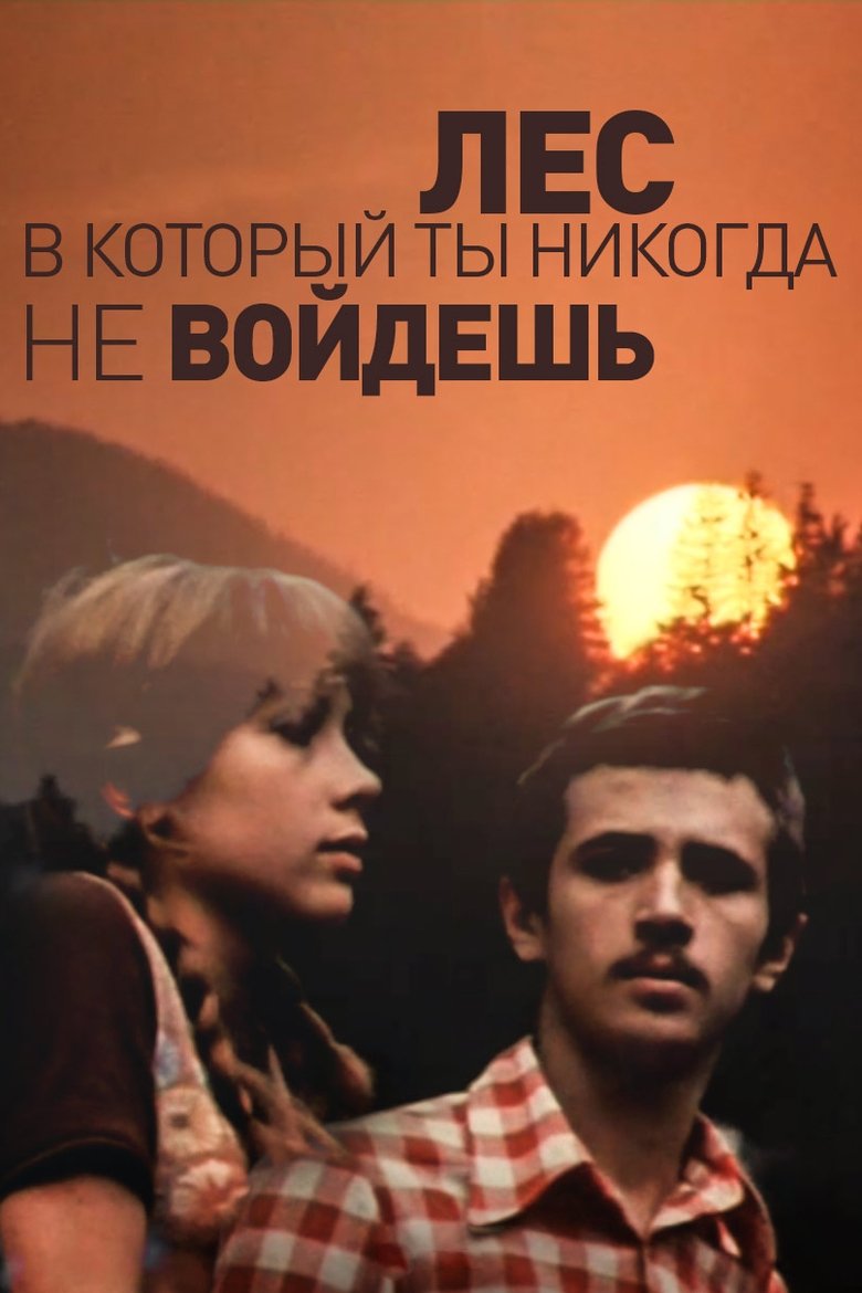 Poster of The Forest You'll Never Enter
