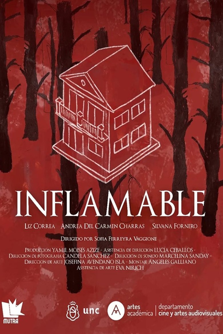 Poster of Inflamable