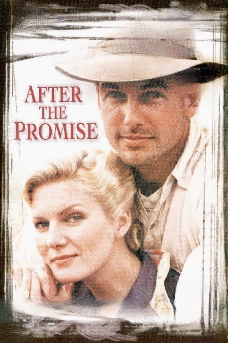 Poster of After the Promise