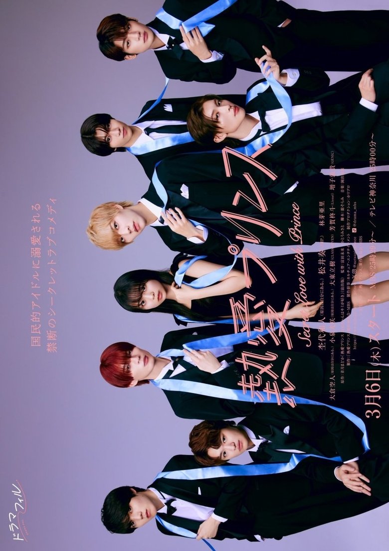 Poster of Secret Love with Prince