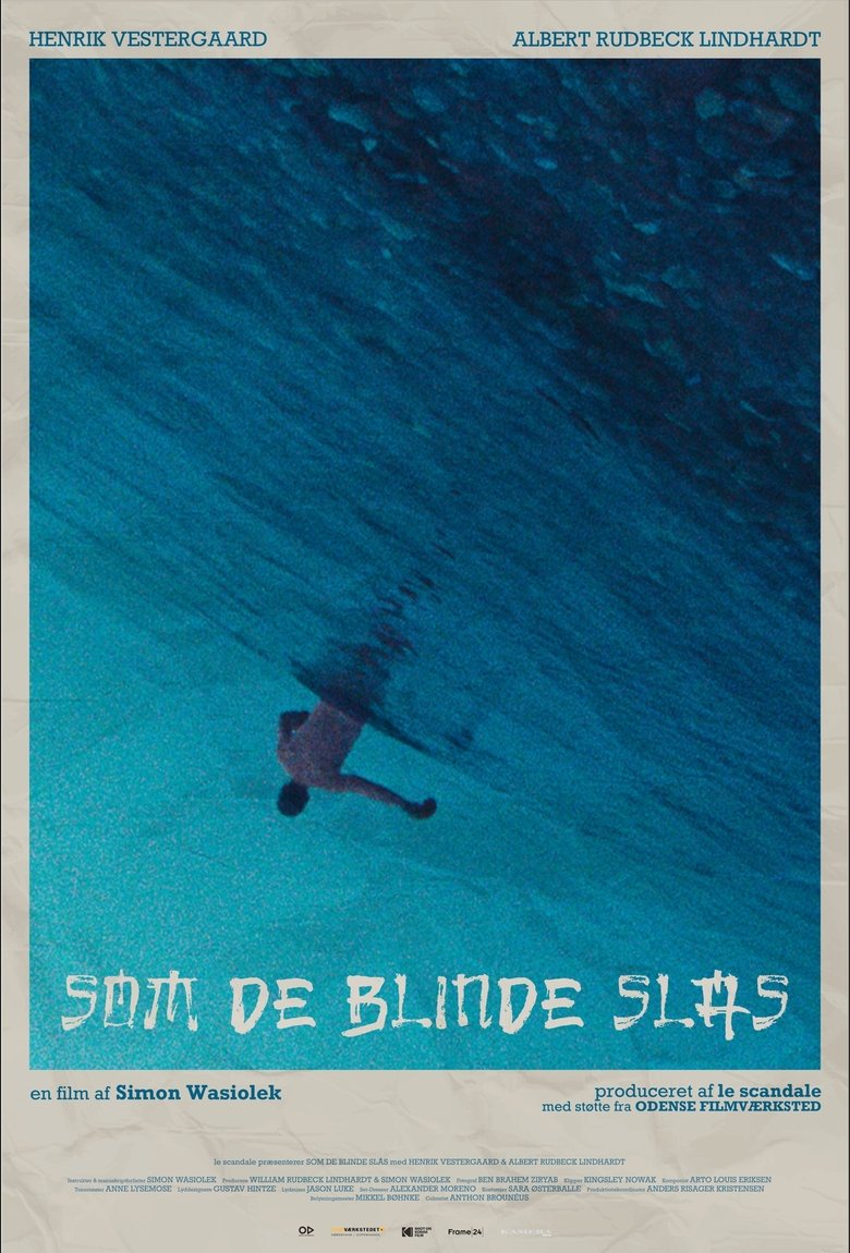Poster of Brawling in Blindspots