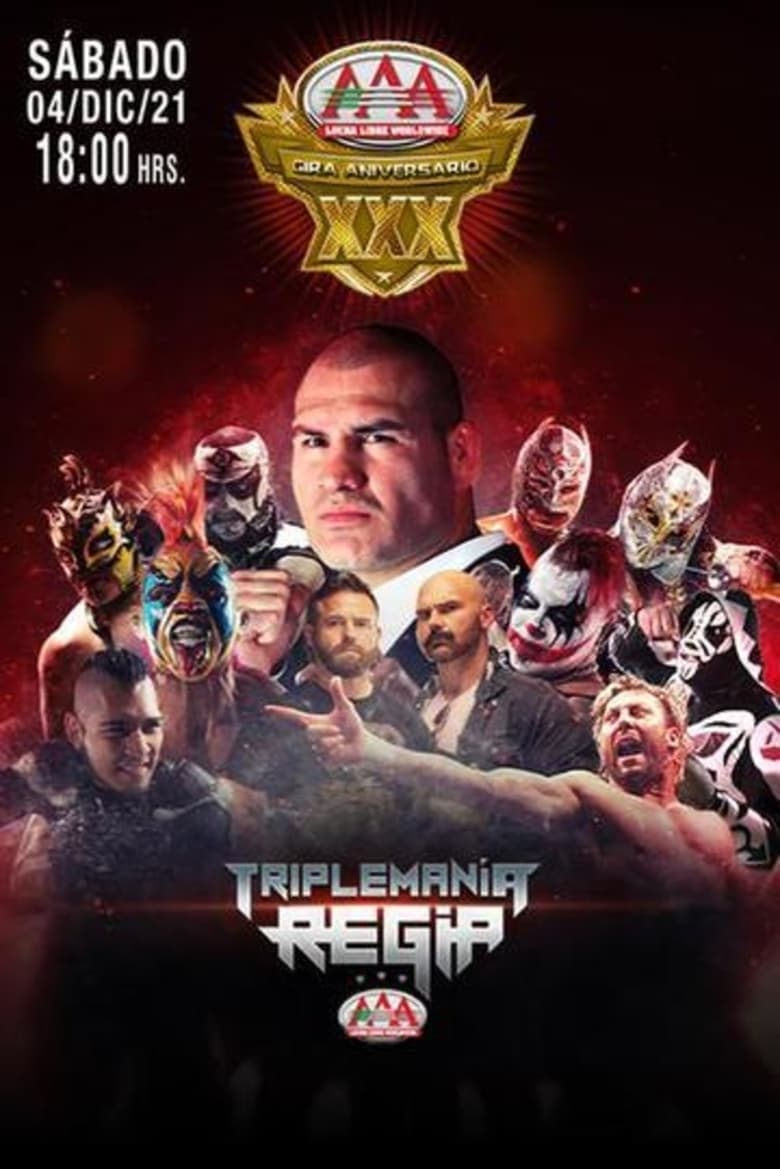 Poster of AAA TripleMania Regia II