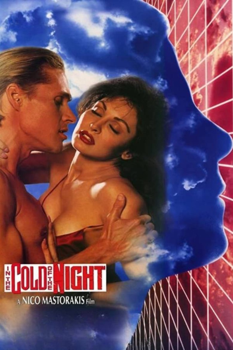 Poster of In the Cold of the Night