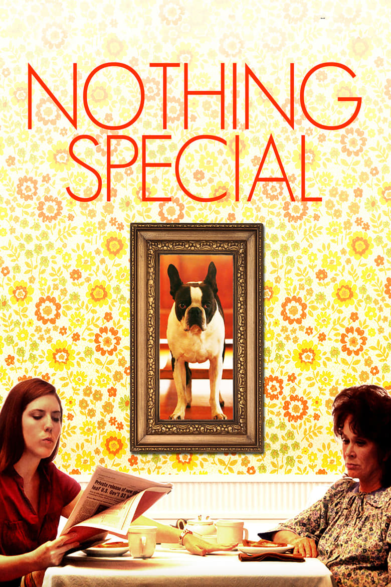 Poster of Nothing Special