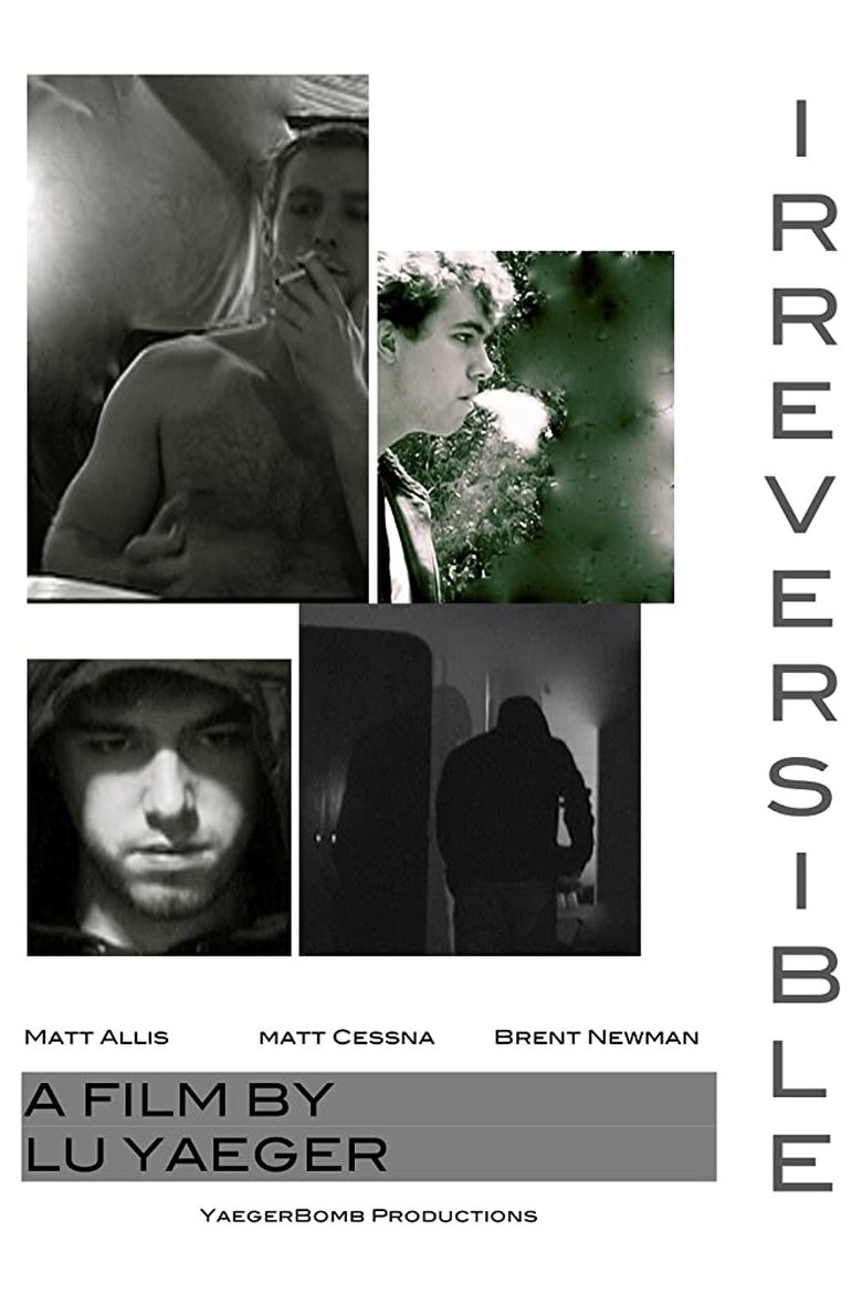 Poster of Irreversible