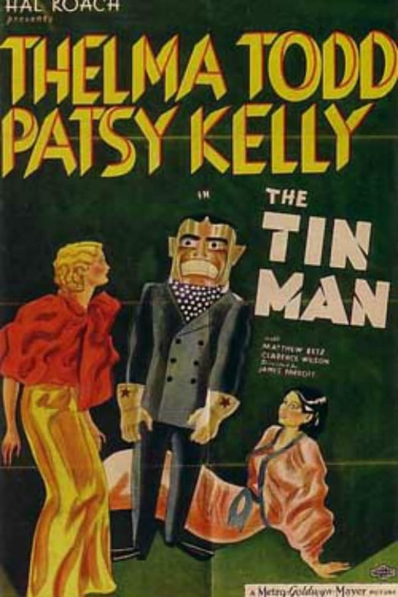 Poster of The Tin Man