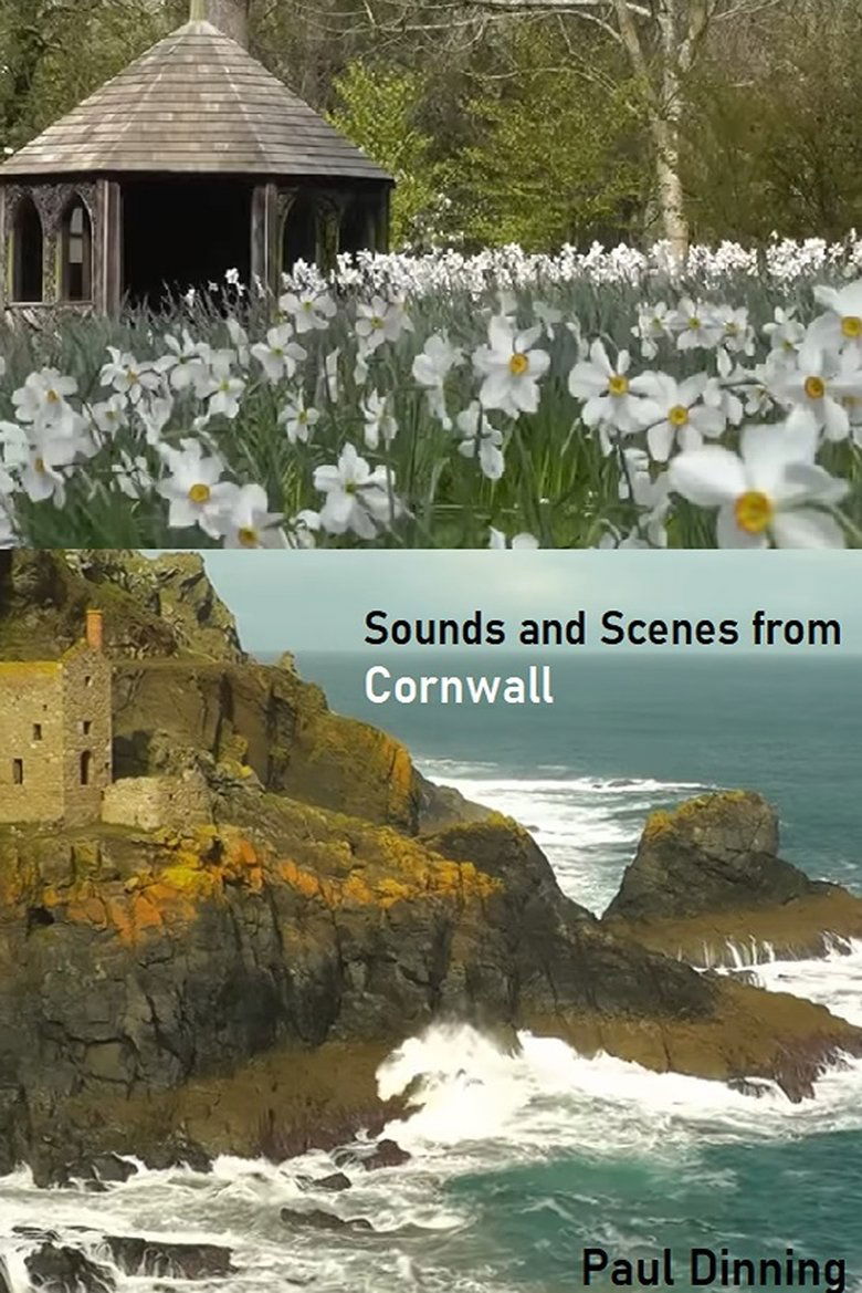 Poster of Sounds and Scenes from Cornwall