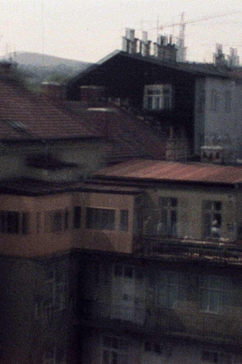 Poster of 33/77 No Danube