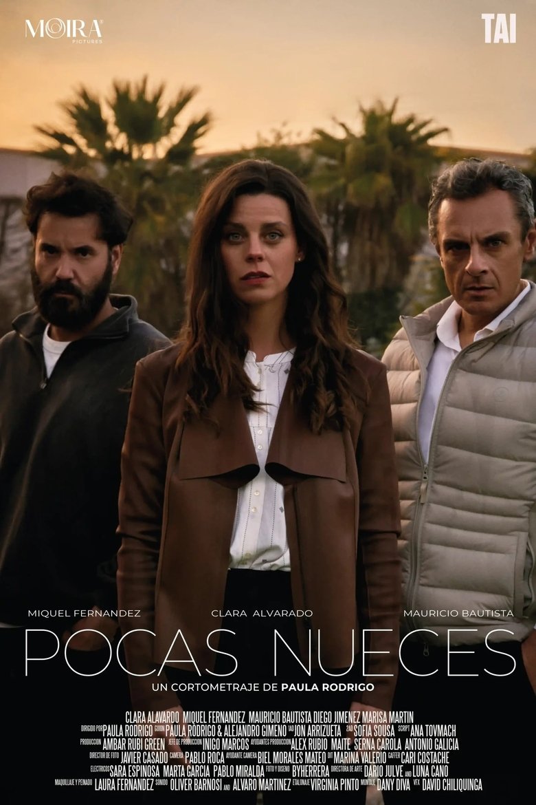 Poster of Pocas nueces
