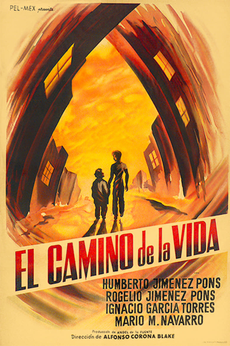 Poster of The Road of Life