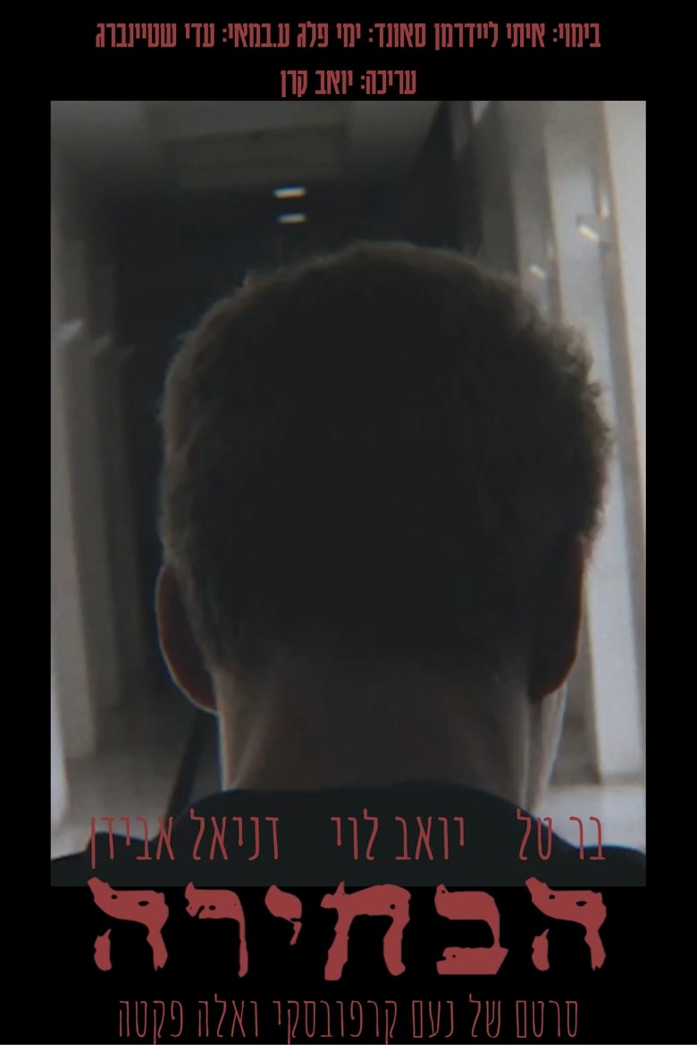 Poster of The Choice