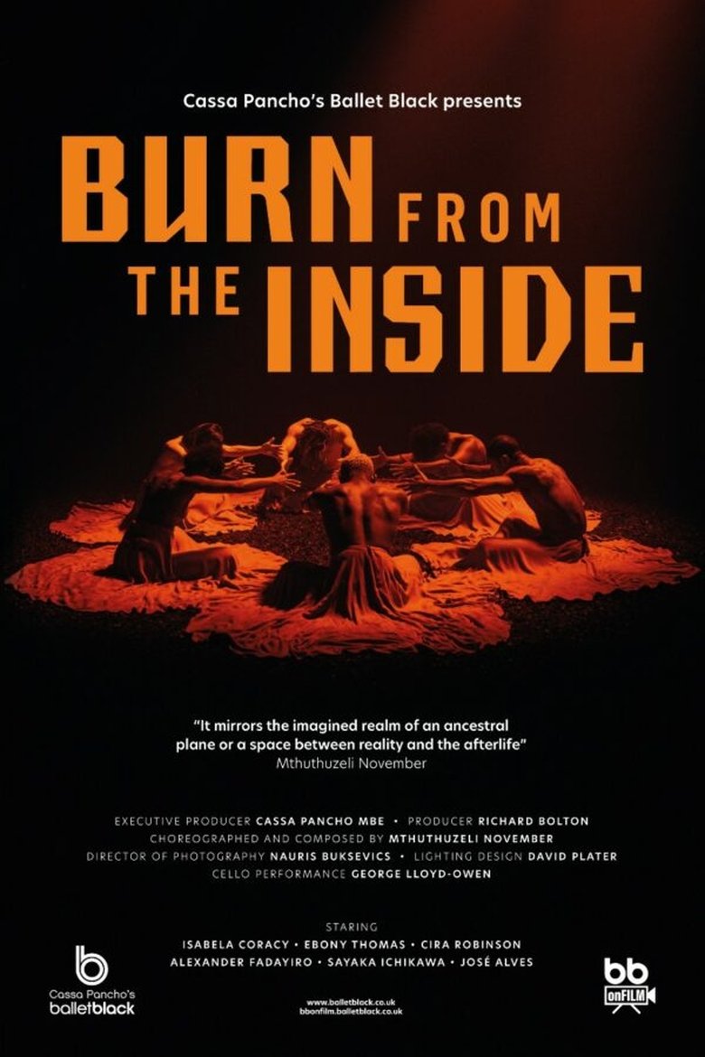 Poster of Burn from the Inside