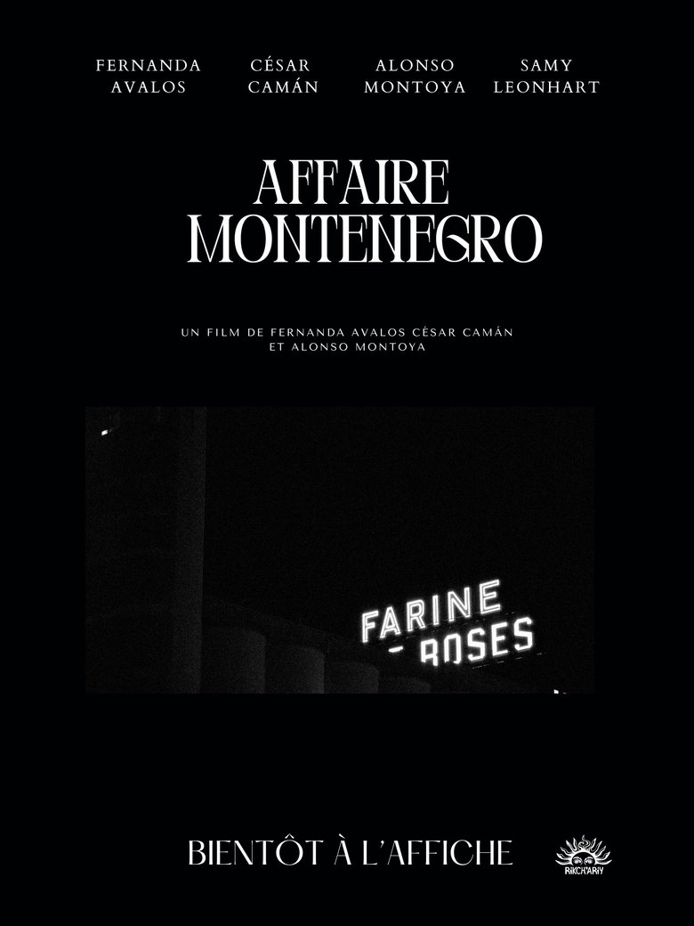 Poster of The Montenegro Affair