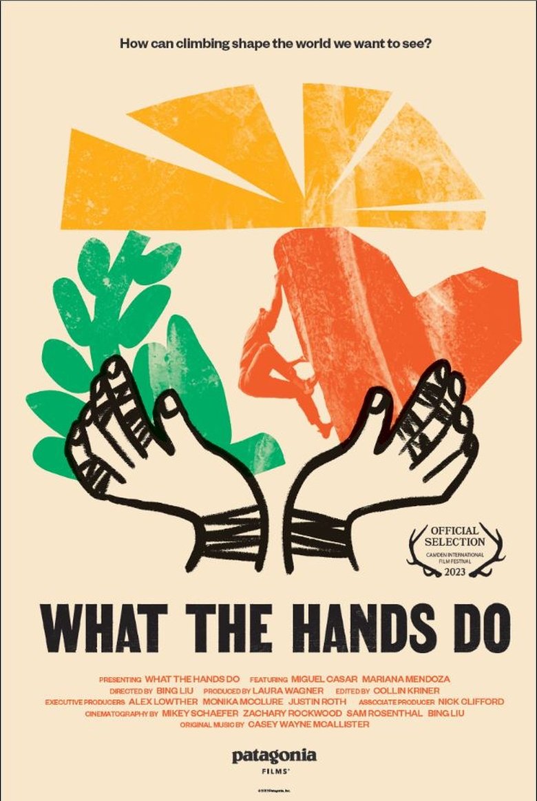Poster of What the Hands Do