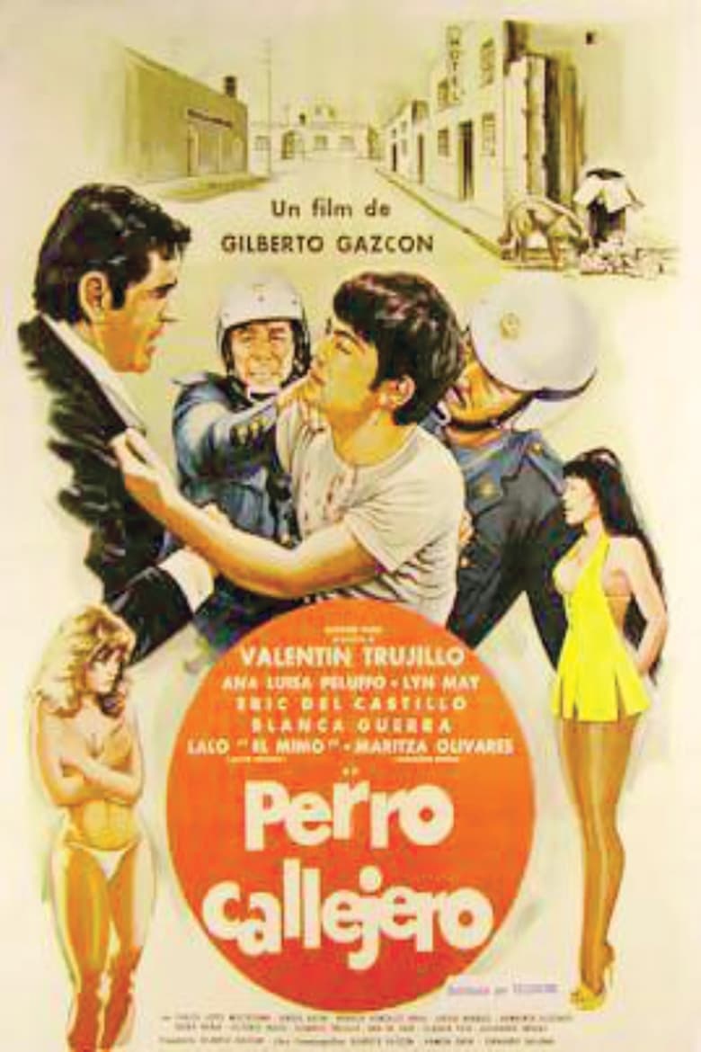 Poster of Perro callejero