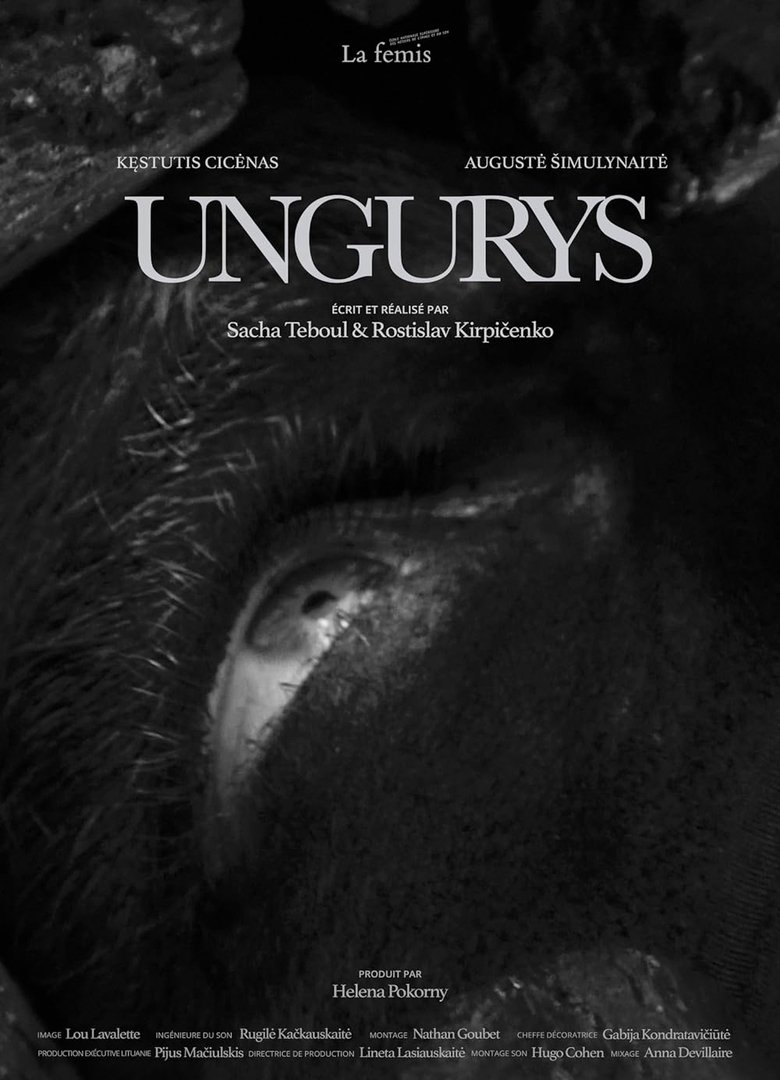 Poster of Ungurys