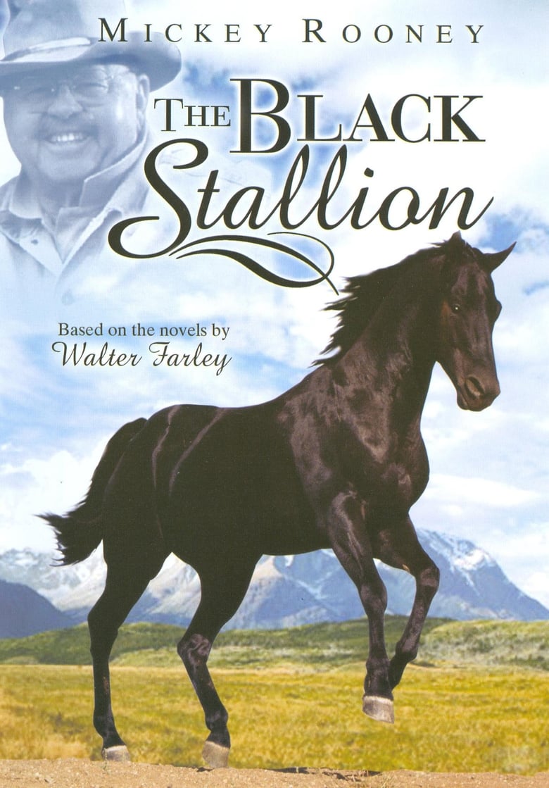 Poster of Adventures of the Black Stallion