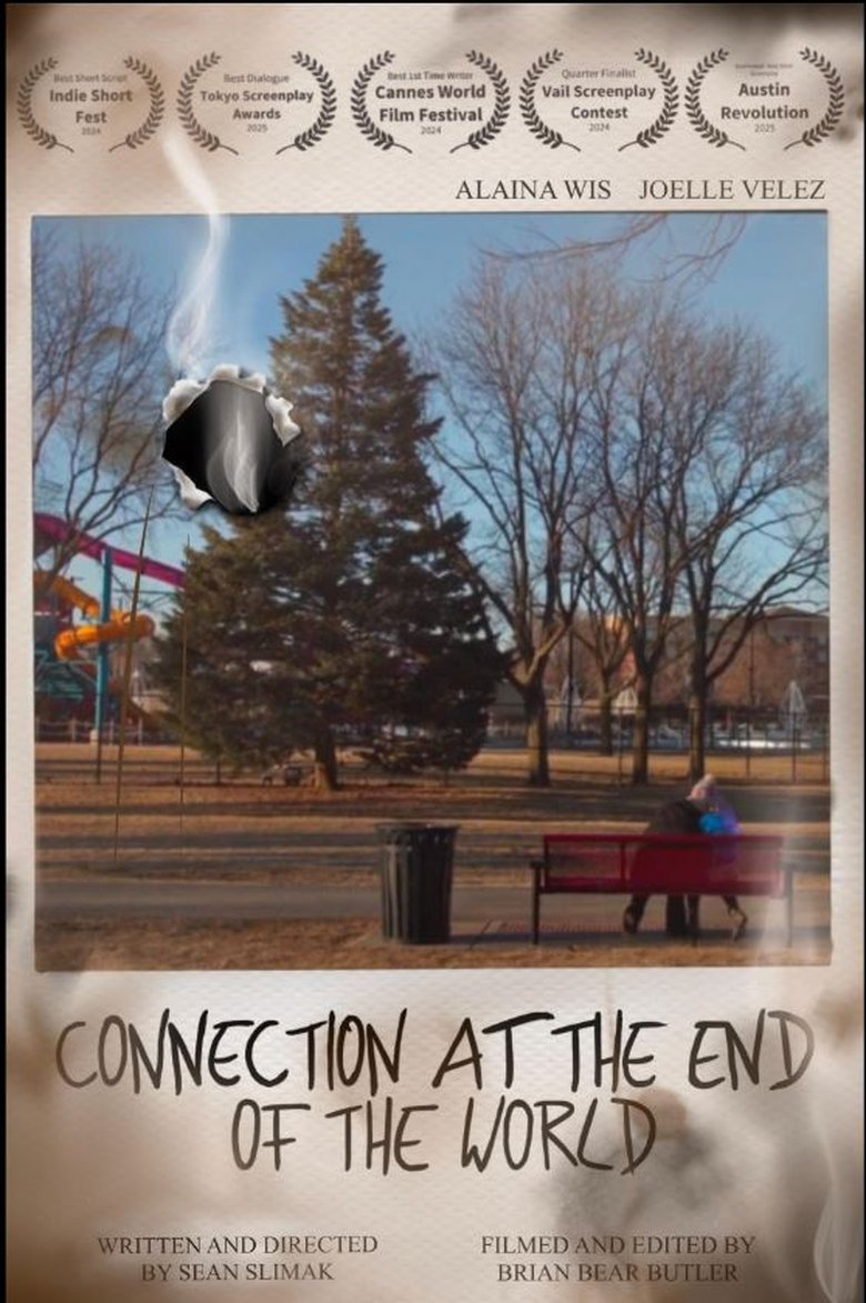 Poster of Connection At The End Of The World