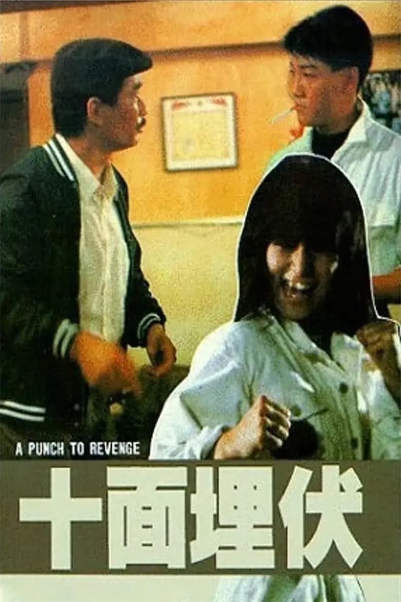 Poster of A Punch to Revenge
