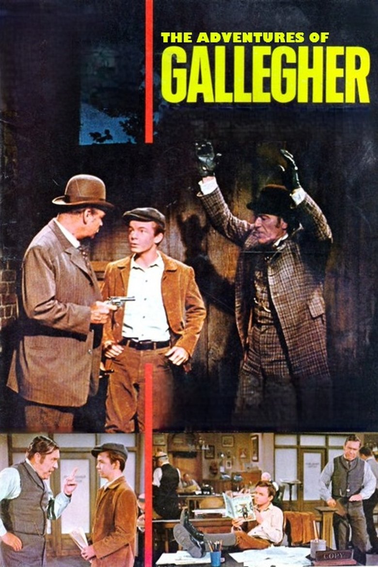 Poster of The Adventures of Gallegher