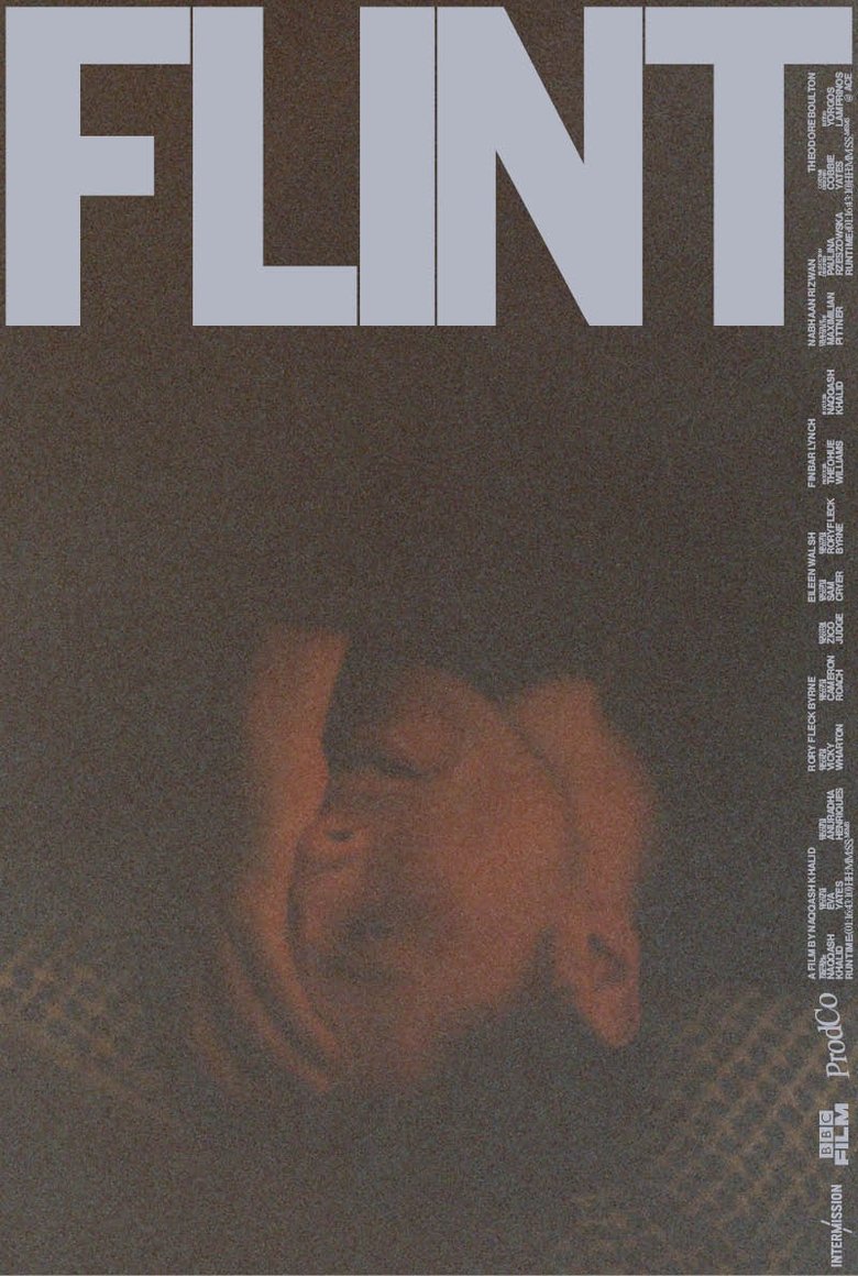 Poster of FLINT