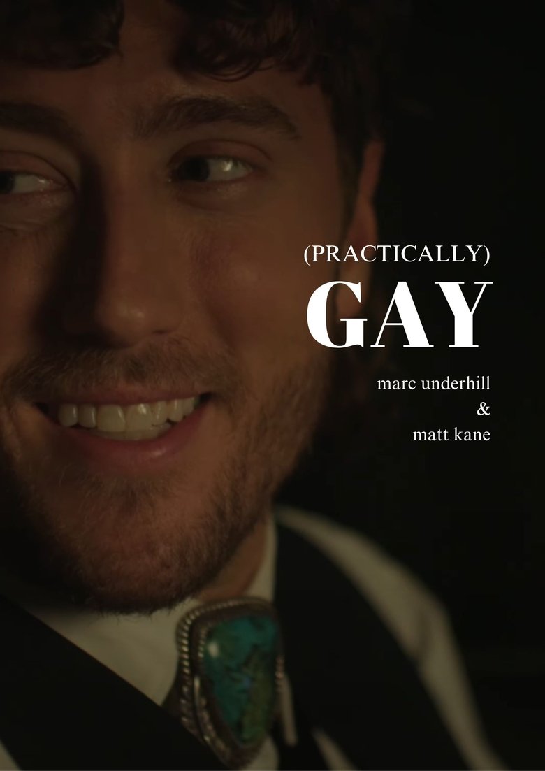 Poster of (Practically) Gay