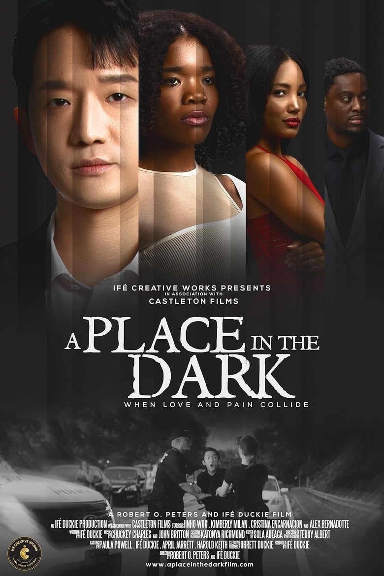 Poster of A Place in the Dark