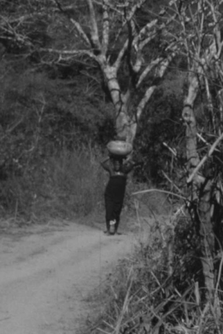Poster of The Way to Nola's Farm