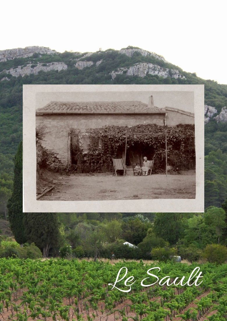Poster of Le Sault