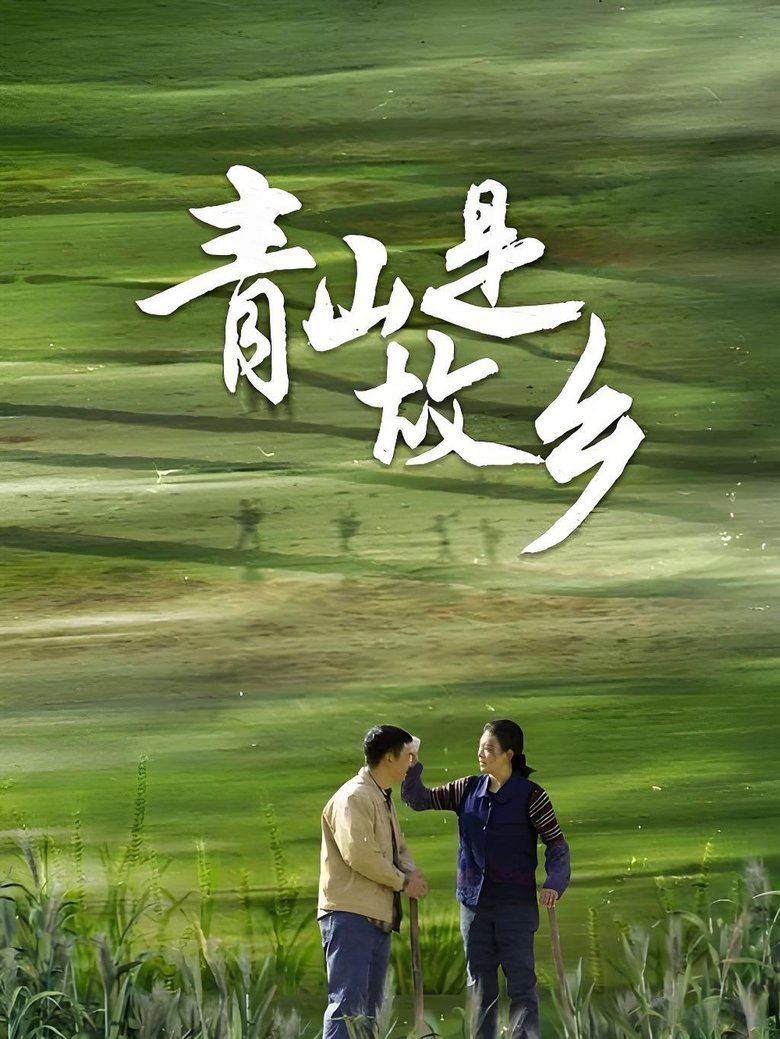Poster of 青山是故乡