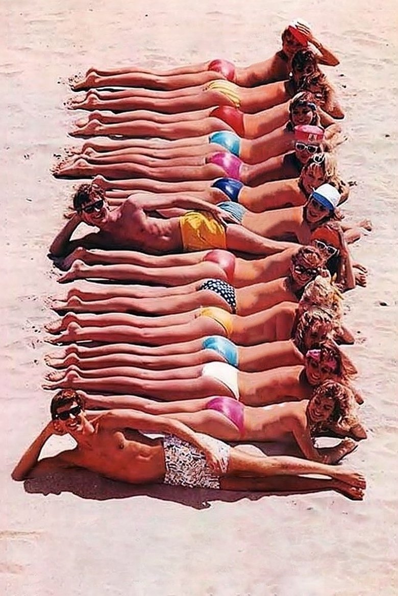 Poster of Private Resort