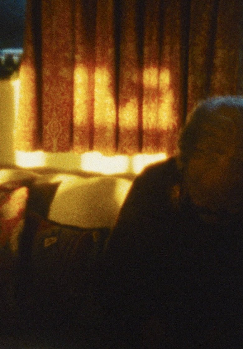 Poster of Disappearances
