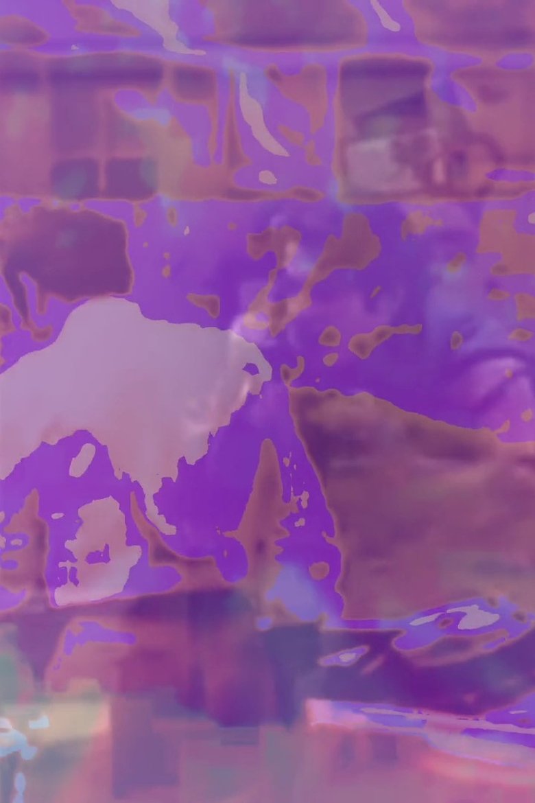 Poster of i‘m going to do it