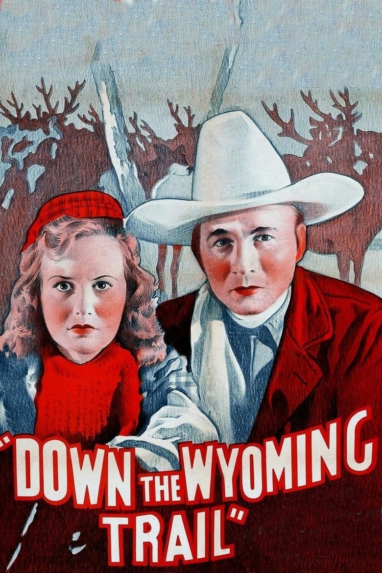 Poster of Down the Wyoming Trail
