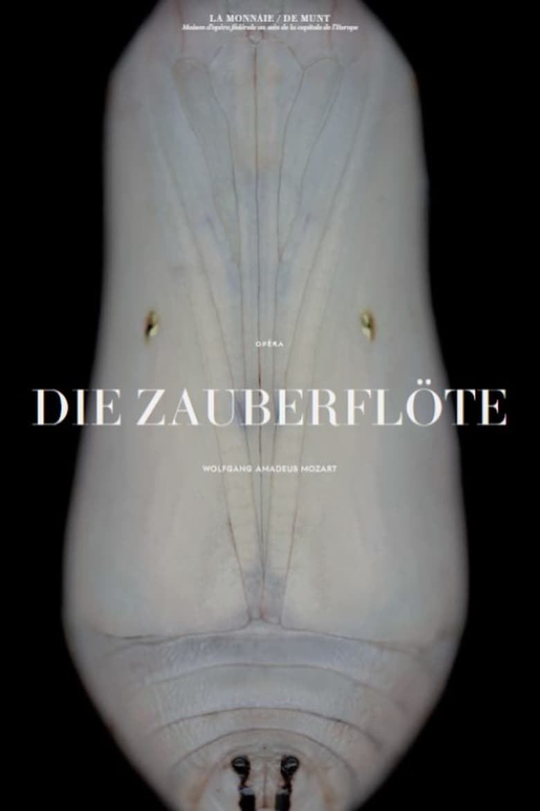 Poster of Mozart: Die Zauberflöte