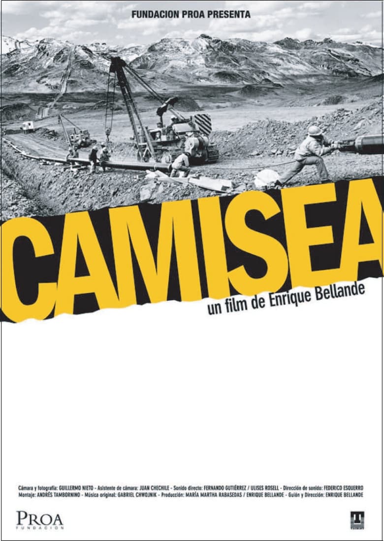 Poster of Camisea