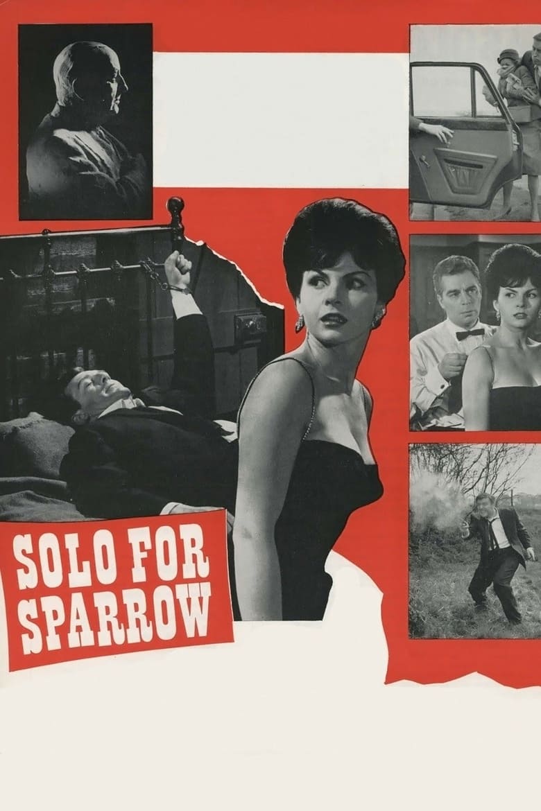 Poster of Solo for Sparrow
