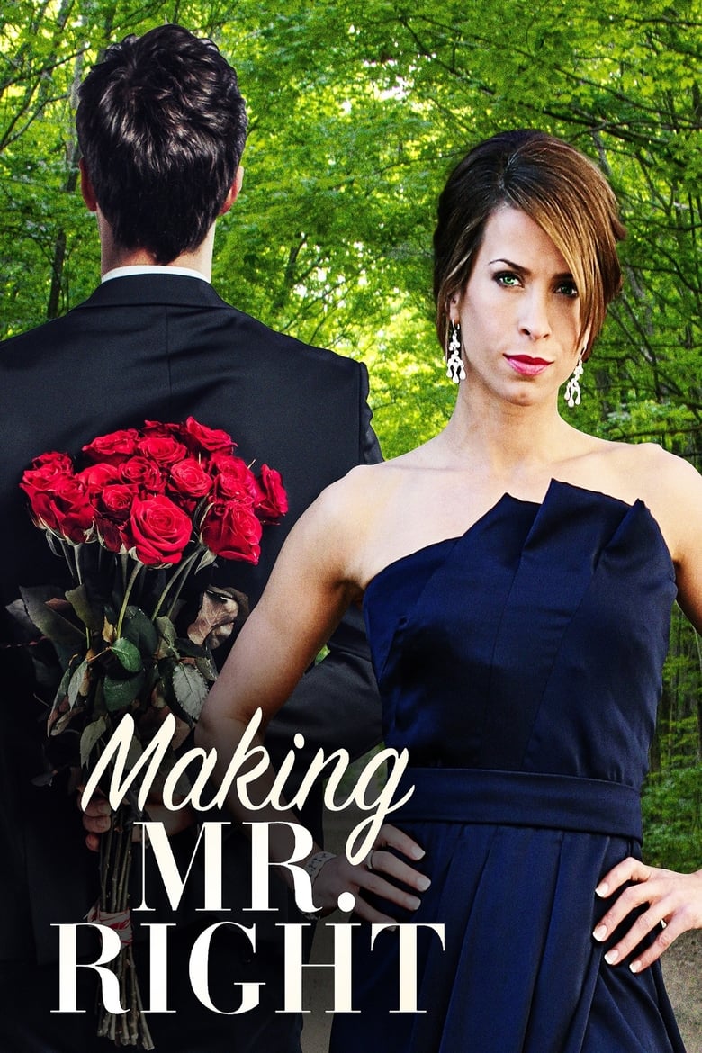 Poster of Making Mr. Right