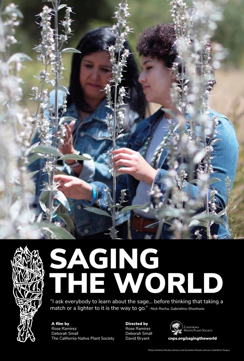 Poster of Saging the World