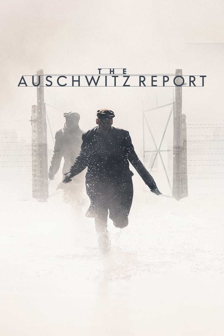 Poster of The Auschwitz Report