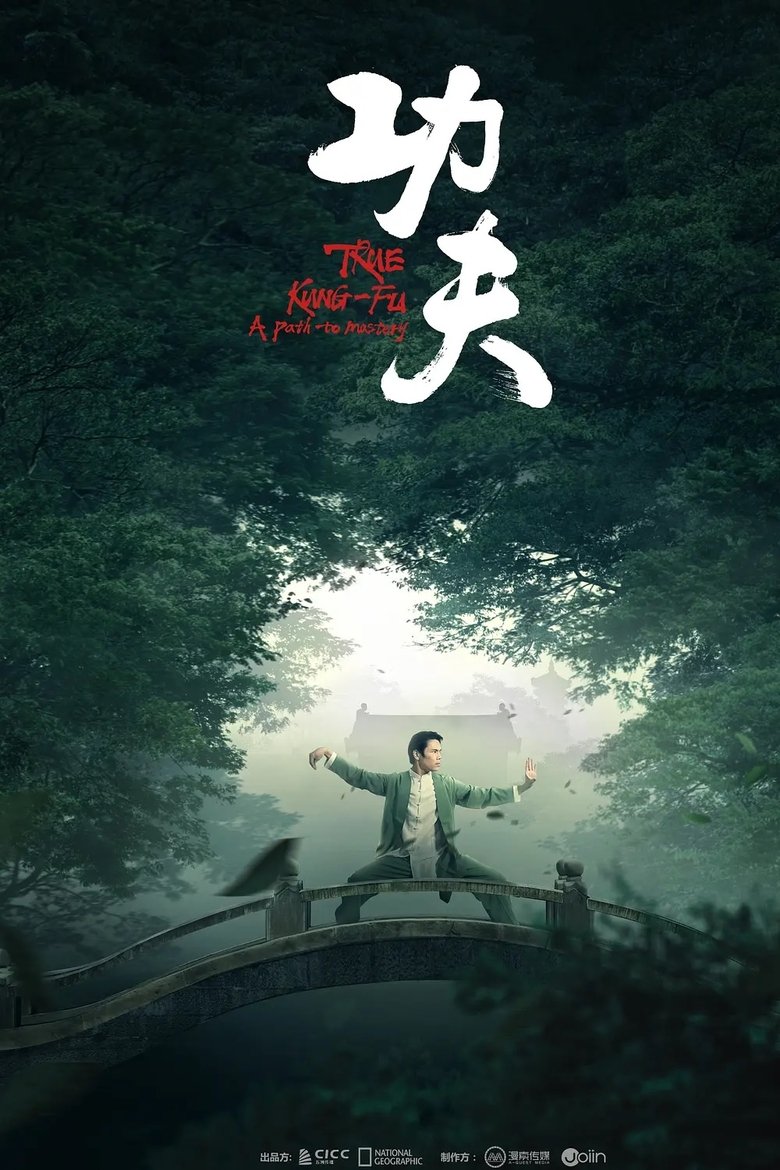 Poster of 功夫